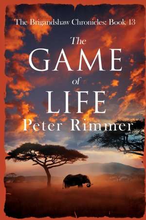 The Game of Life de Peter Rimmer