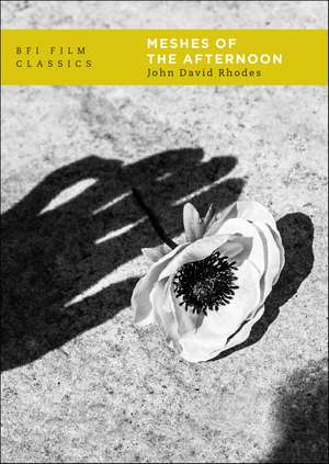 Meshes of the Afternoon de John David Rhodes