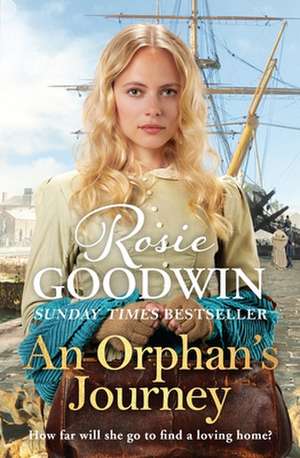 An Orphan's Journey de Rosie Goodwin