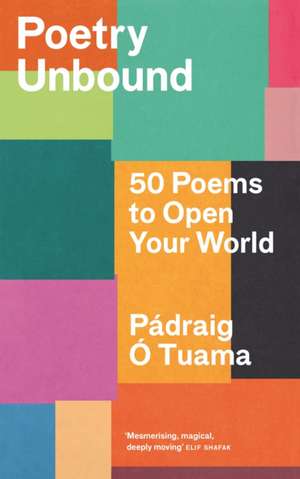 Poetry Unbound de Pádraig Ó Tuama