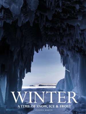 Winter de Claudia Martin