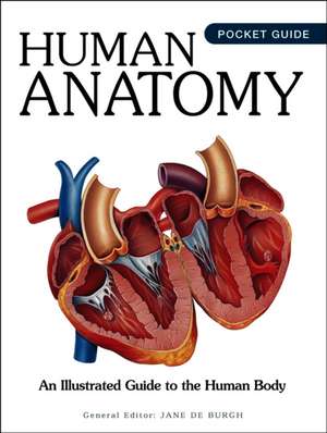 Human Anatomy de Jane De Burgh