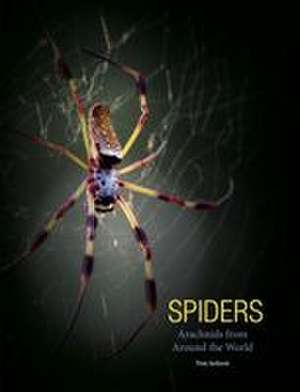Spiders de Tom Jackson