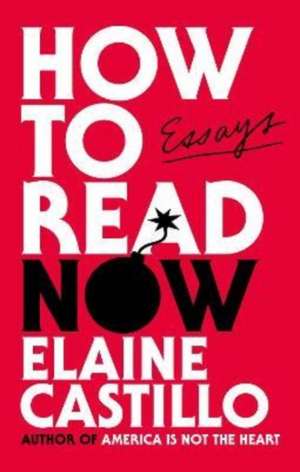 Castillo, E: How to Read Now de Elaine Castillo