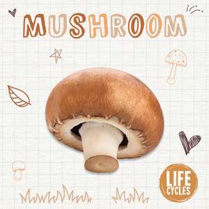 Mushroom de Brenda McHale