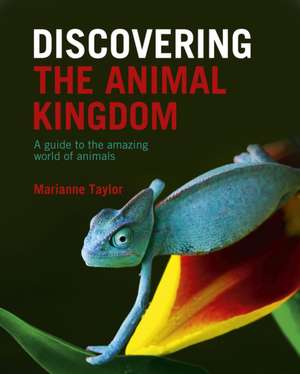 Discovering The Animal Kingdom de Marianne Taylor