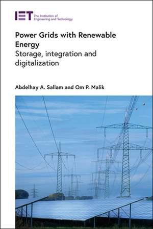 Power Grids with Renewable Energy de Abdelhay A Sallam