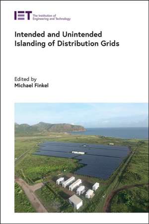 Intended and Unintended Islanding of Distribution Grids de Michael Finkel