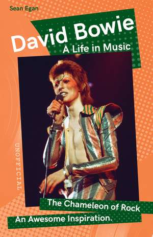 David Bowie: A Life in Music de Sean Egan