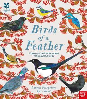 National Trust: Birds of a Feather: Press out and learn about 10 beautiful birds de Lauren Fairgrieve