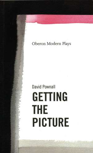 Getting the Picture de David Pownall