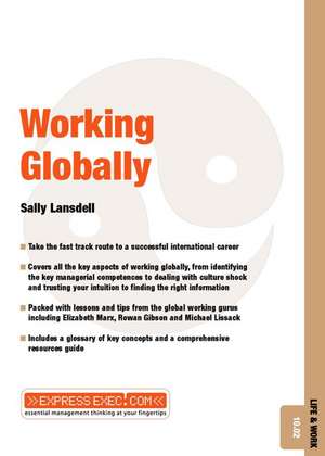 Working Globally de Sally Lansdell