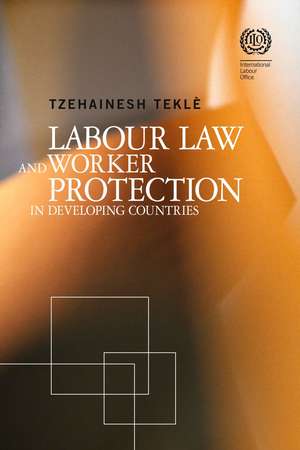 Labour Law and Worker Protection in Developing Countries de Tzehainesh Teklè