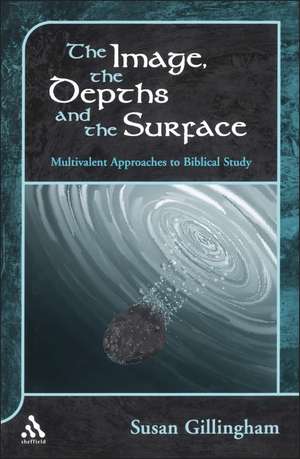 The Image, the Depths and the Surface: Multivalent Approaches to Biblical Study de Susan Gillingham