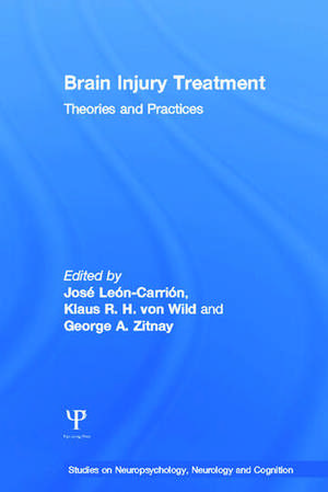 Brain Injury Treatment: Theories and Practices de Jose Leon-Carrion