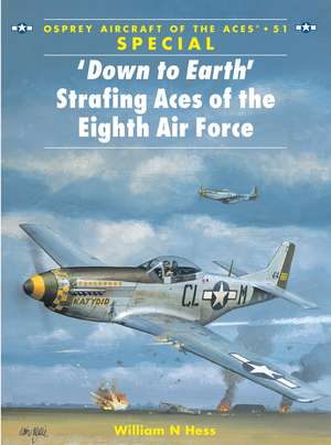 ‘Down to Earth' Strafing Aces of the Eighth Air Force de William N Hess