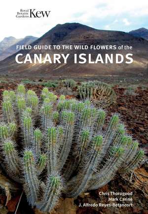 Field Guide to the Wild Flowers of the Canary Islands de Chris Thorogood