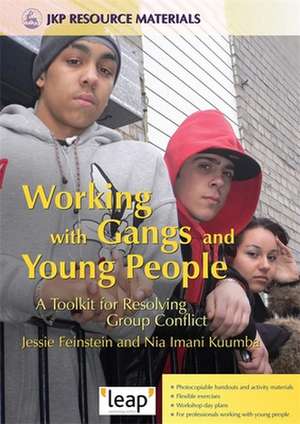 Working with Gangs and Young People: A Toolkit for Resolving Group Conflict de Jessie Feinstein