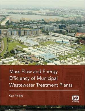 Mass Flow and Energy Efficiency of Municipal Wastewater Treatment Plants de Ye Shi Cao