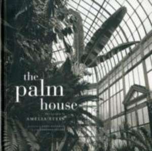 Dublin's Palm House. Amelia Stein de Amelia Stein