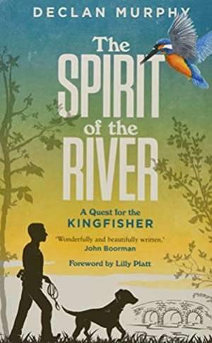 The Spirit of the River de Declan Murphy