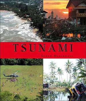 Tsunami de Susan Blackhall