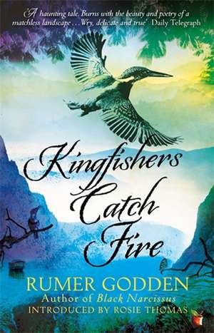 Kingfishers Catch Fire de Rumer Godden