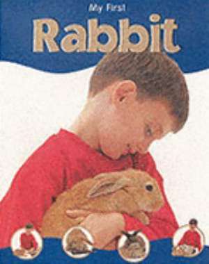 Rabbit de Veronica Ross