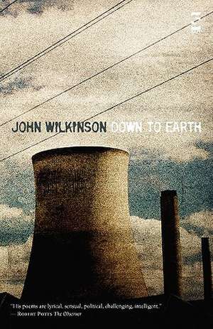 Down to Earth de John Wilkinson