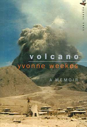 Volcano de Yvonne Weekes