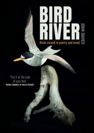 Bird River de John Davies
