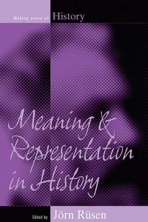 Meaning and Representation in History de J. Rsen