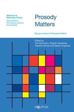 Prosody Matters de Toni Borowsky