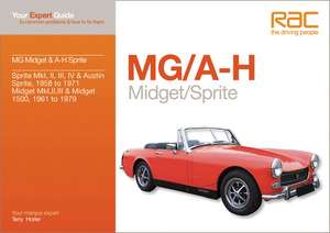 MG/A-H Midget/Sprite: Your Expert Guide to Common Problems & How to Fix Them de Terry Horler