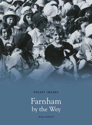 Farnham by the Wey de Jean Parratt