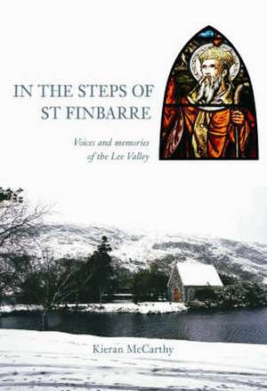 In the Steps of St Finbarre de Kieran McCarthy