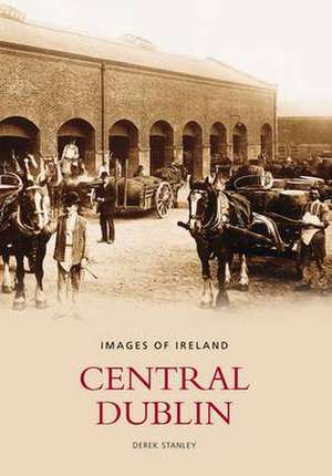 Central Dublin de Derek Stanley