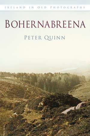 Bohernabreena de Peter Quinn