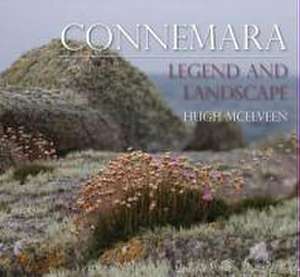 Connemara de Hugh Mcelveen