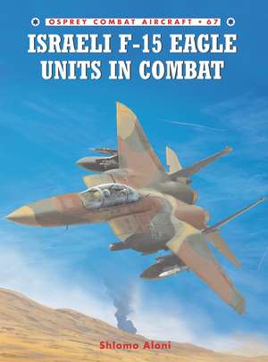 Israeli F-15 Eagle Units in Combat de Shlomo Aloni