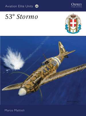 53° Stormo de Marco Mattioli