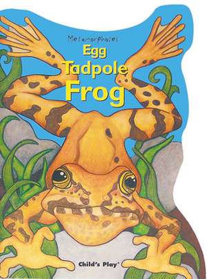 Metamorphoses: Egg, Tadpole, Frog de John L. Hommedieu