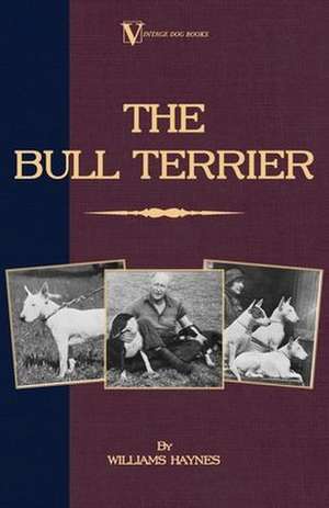 The Bull Terrier de Williams Samuel Haynes