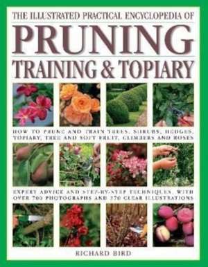 Illustrated Practical Encyclopedia of Pruning, Training and Topiary de Richard Bird