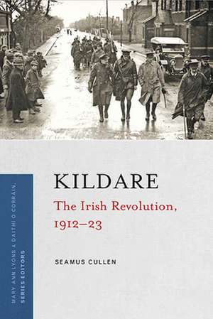 Kildare: The Irish Revolution, 1912-23 de Seamus Cullen