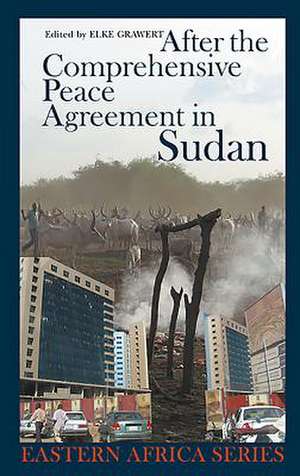 After the Comprehensive Peace Agreement in Sudan de Elke Grawert