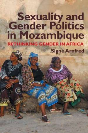 Sexuality and Gender Politics in Mozambique – Re–thinking Gender in Africa de Signe Arnfred