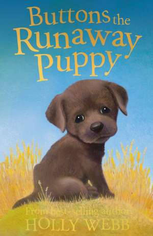 Buttons the Runaway Puppy de Holly Webb