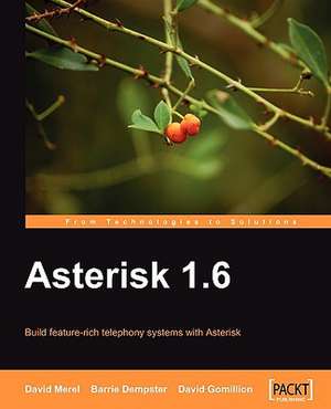 Asterisk 1.6 de David Merel