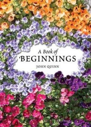 A Book of Beginnings de John Quinn